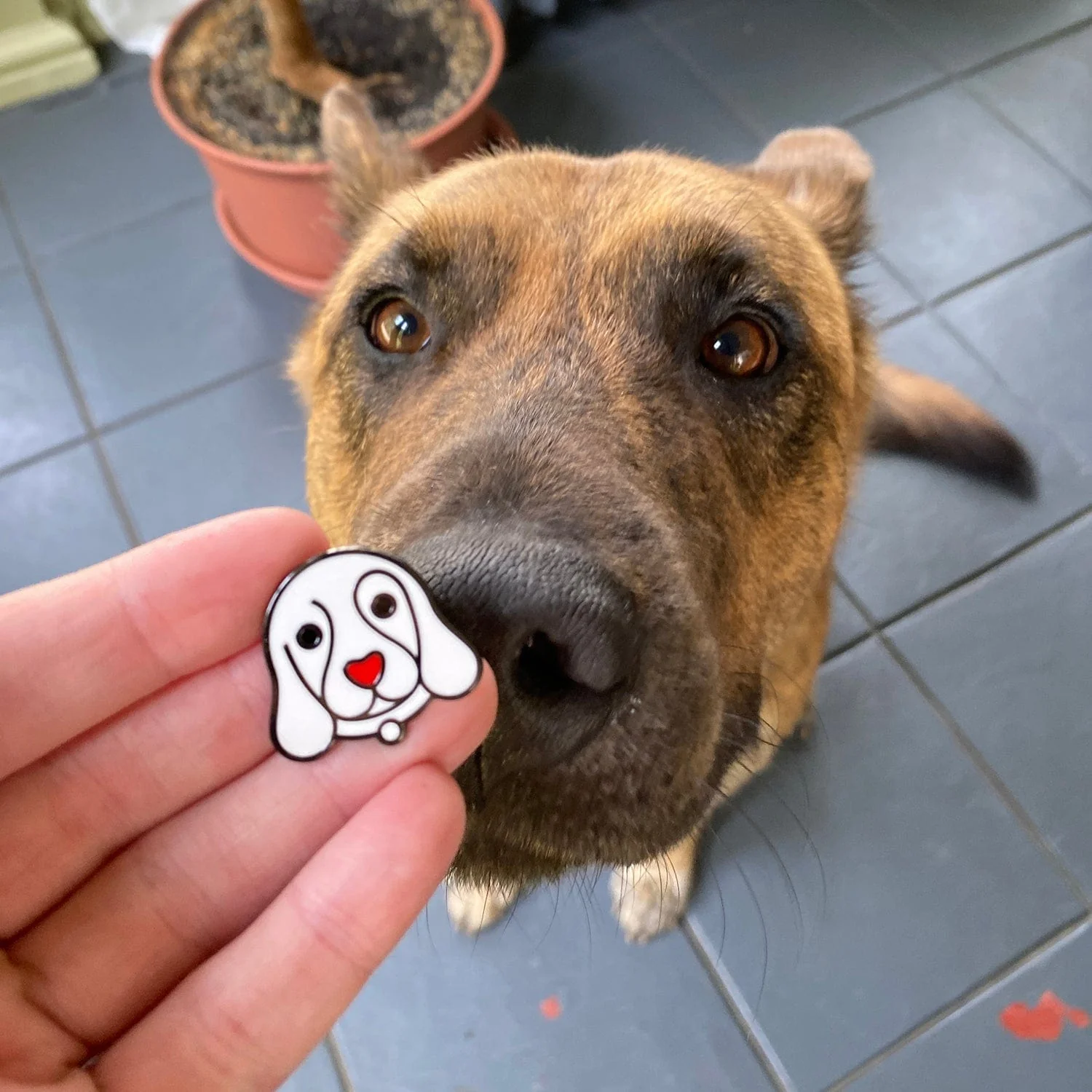 Dog Rescue (choose from pins, stickers, car magnets) - Image 4