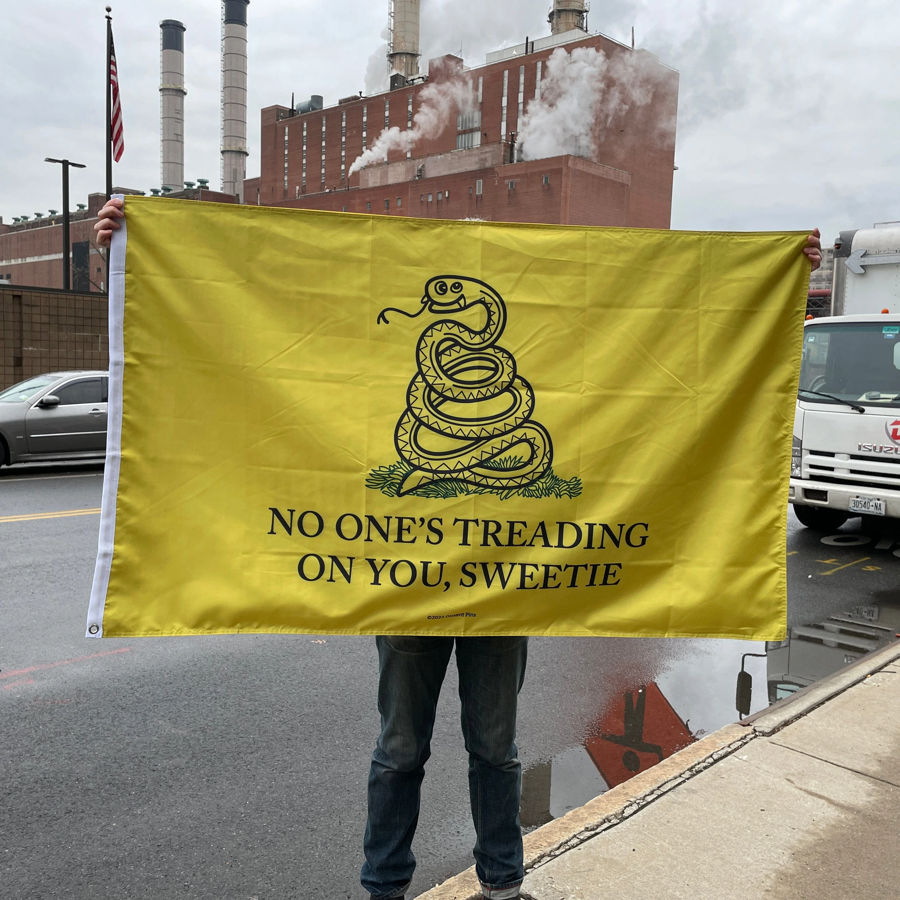 No One's Treading On You, Sweetie Flag 3' x 5' - Image 5