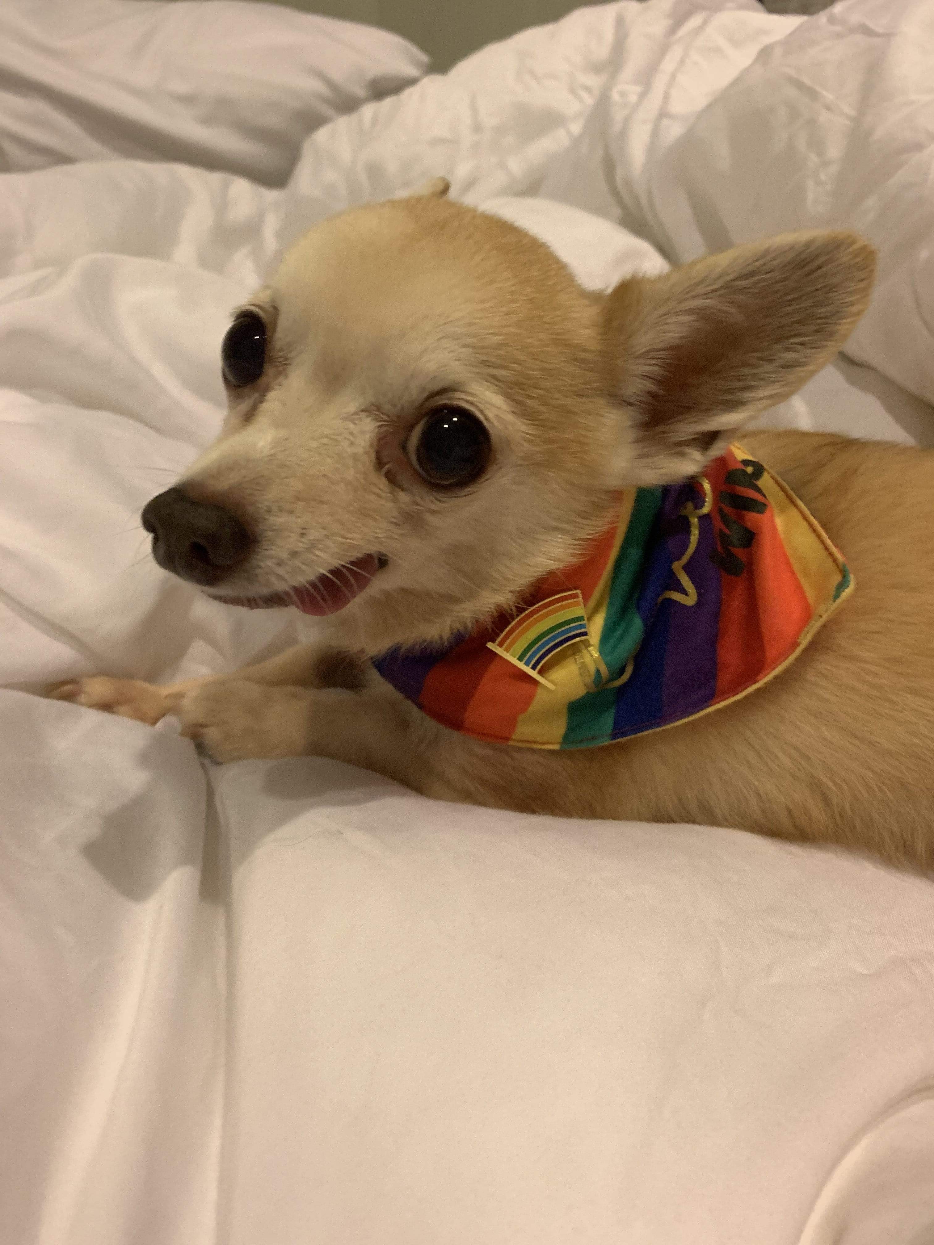Pride Flag Pin - Image 6